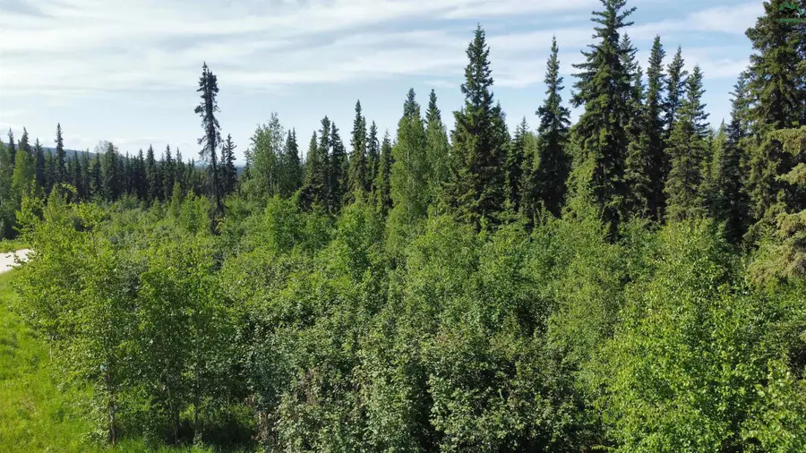 L20B3 NHN BRIGHTON DRIVE, Fairbanks, AK 99712 - #3