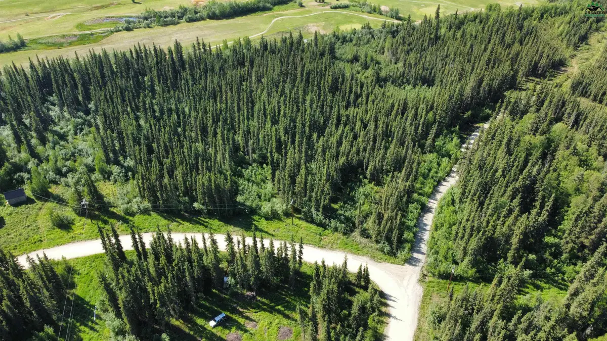 L22B3 NHN BRIGHTON DRIVE, Fairbanks, AK 99712 - #1