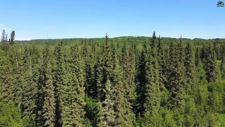 L6B1 NHN TERESA TURNAROUND/MCGRATH, Fairbanks, AK 99701 - #3