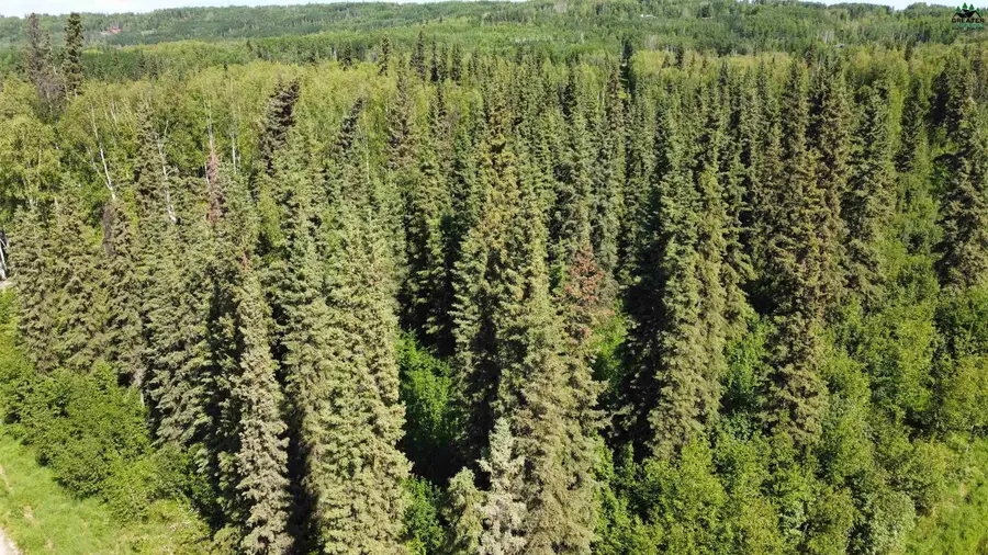 L9B1 NHN TERESA TURNAROUND/MCGRATH, Fairbanks, AK 99712 - #3