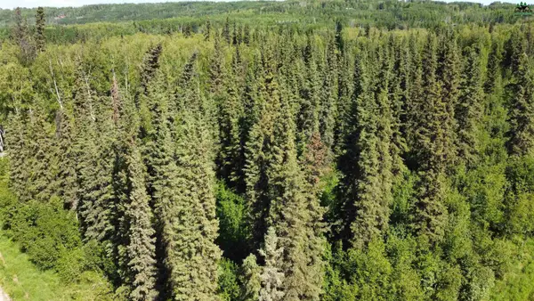 L13B1 NHN EDINBURGH COURT, Fairbanks, AK 99712