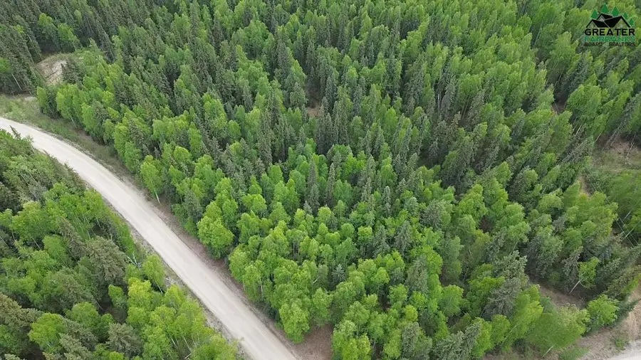 NHN YEOMAN DRIVE, Fairbanks, AK 99709 - #3