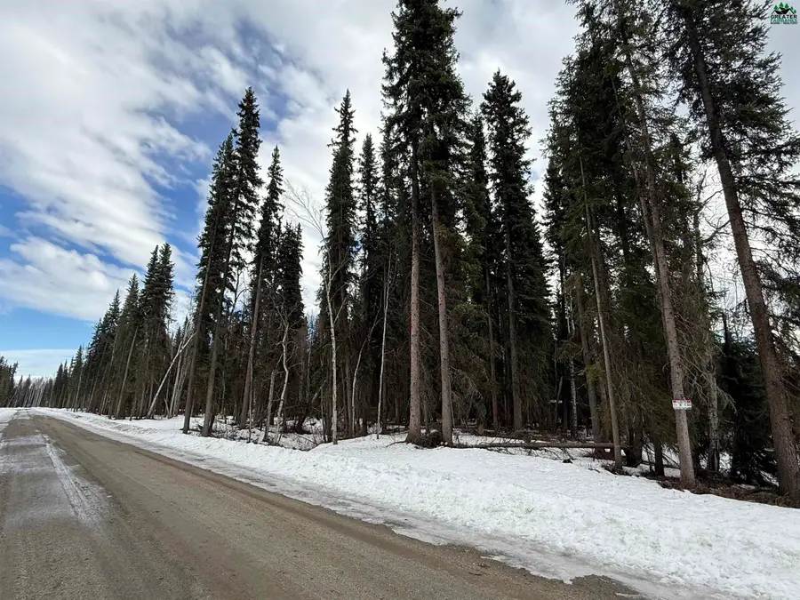 Lot 11, Block B OXBOW COURT, Fairbanks, AK 99712 - #2