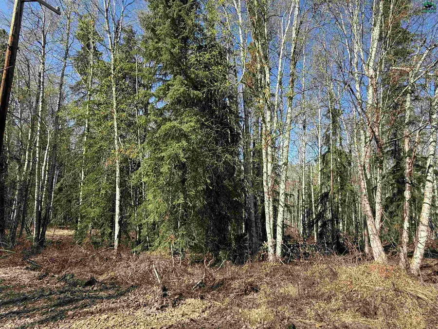 3330 MOONSHINE RUN, Fairbanks, AK 99709 - #3