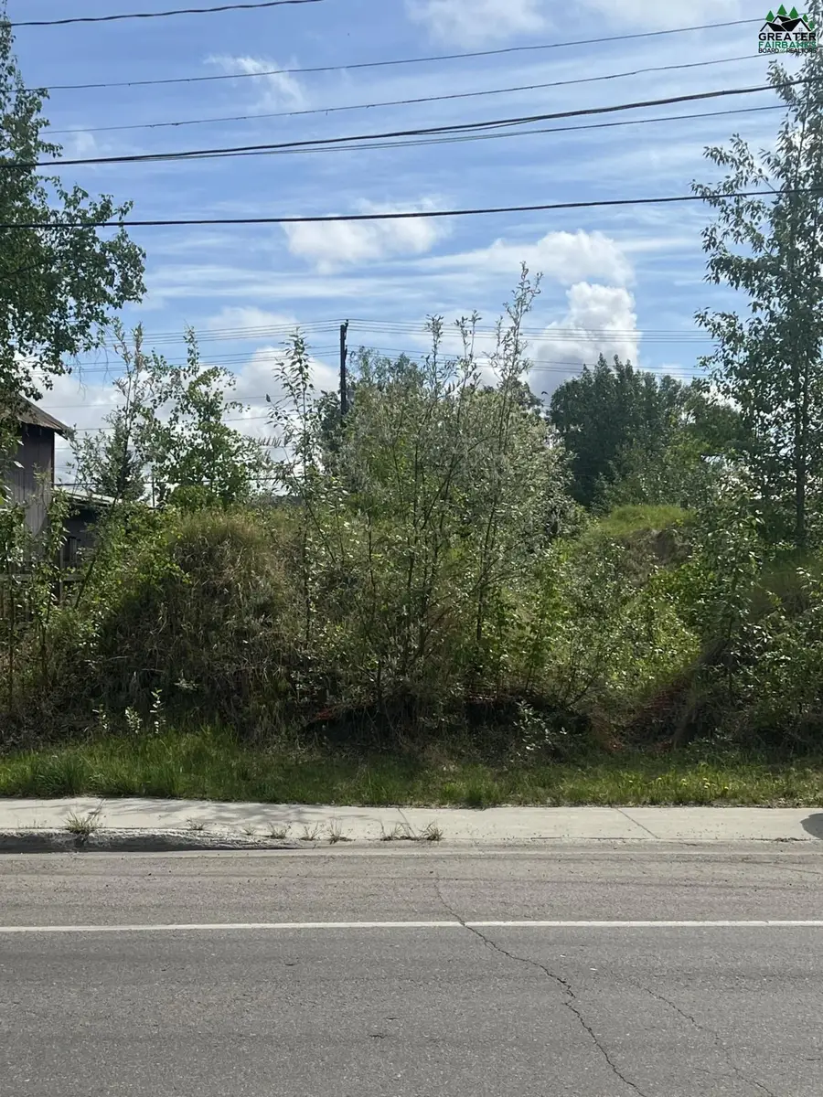 1323 1ST AVENUE, Fairbanks, AK 99701 - #3
