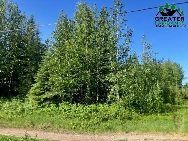 NHN BADGER ROAD, North Pole, AK 99705 - #1