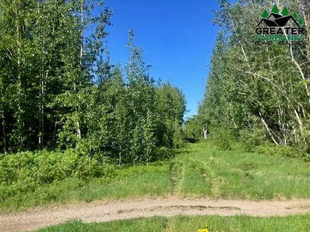 NHN BADGER ROAD, North Pole, AK 99705 - #2