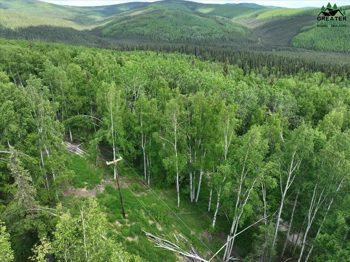 1456 TESLIN TRAIL, Fairbanks, AK 99709 - #1