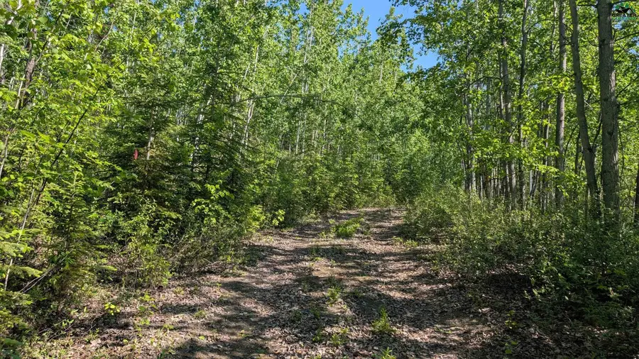 NHN SHUROS DRIVE, Fairbanks, AK 99709 - #3