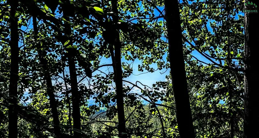 NHN SHUROS DRIVE, Fairbanks, AK 99709 - #2