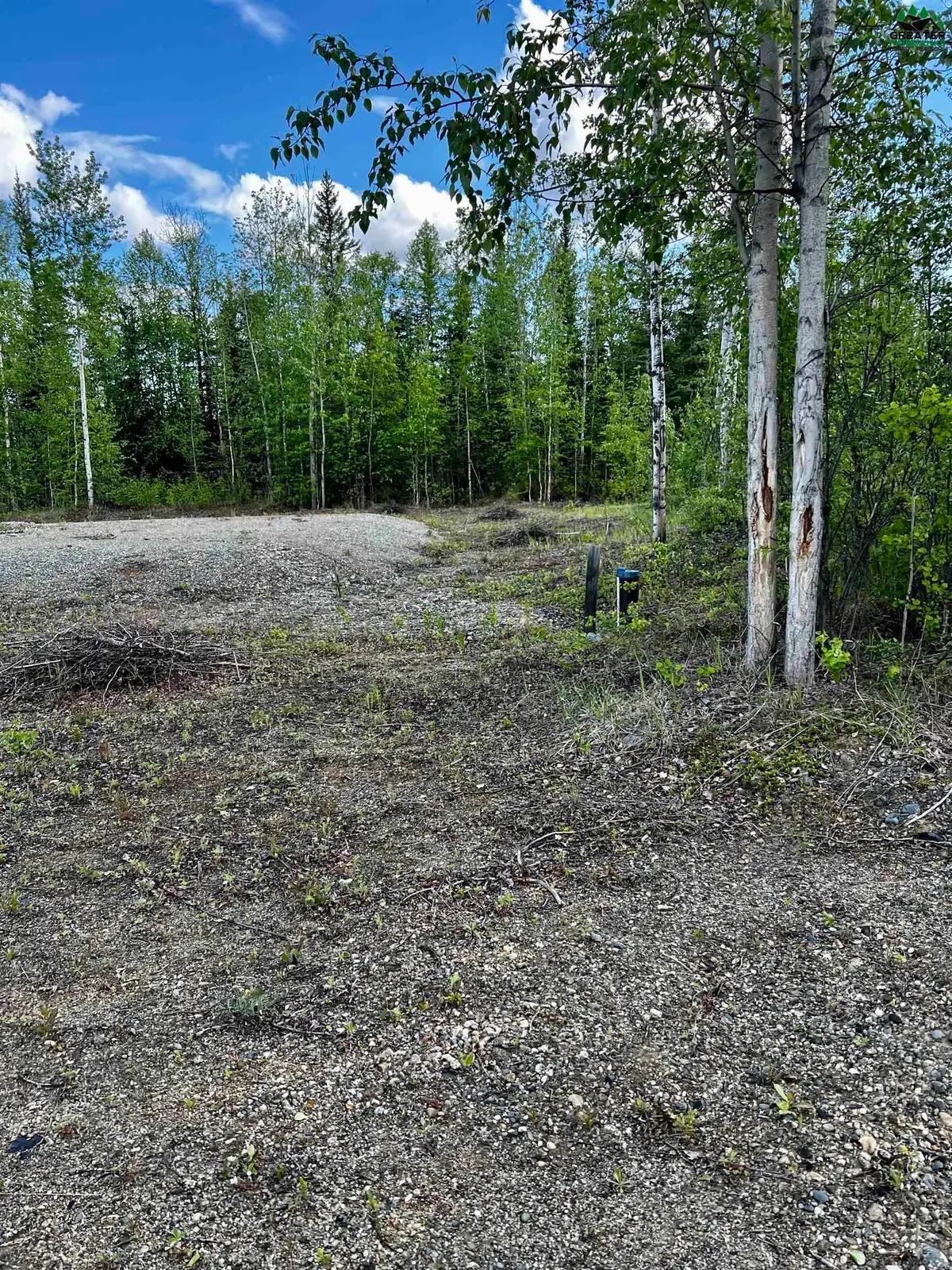 L3 REMINGTON ROAD, Delta Junction, AK 99737 - #1