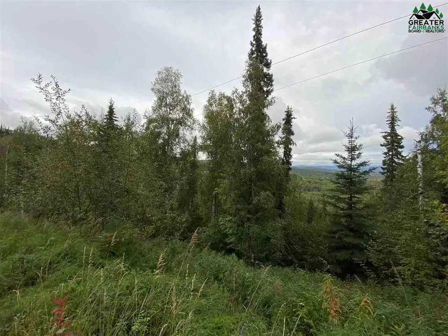 1528 ALDERWOOD DRIVE, Fairbanks, AK 99709 - #3
