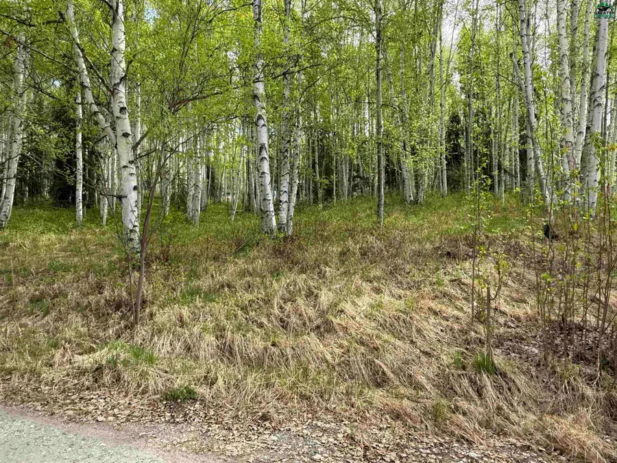 NHN WYLIE LANE, Fairbanks, AK 99712 - #3