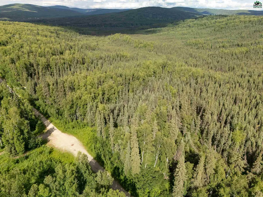 NHN WHISTLING SWAN DRIVE #Lot 6, Fairbanks, AK 99712 - #2