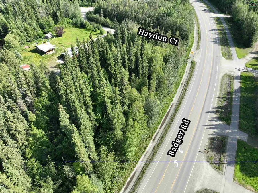 2020 HAYDON COURT, North Pole, AK 99705 - #2