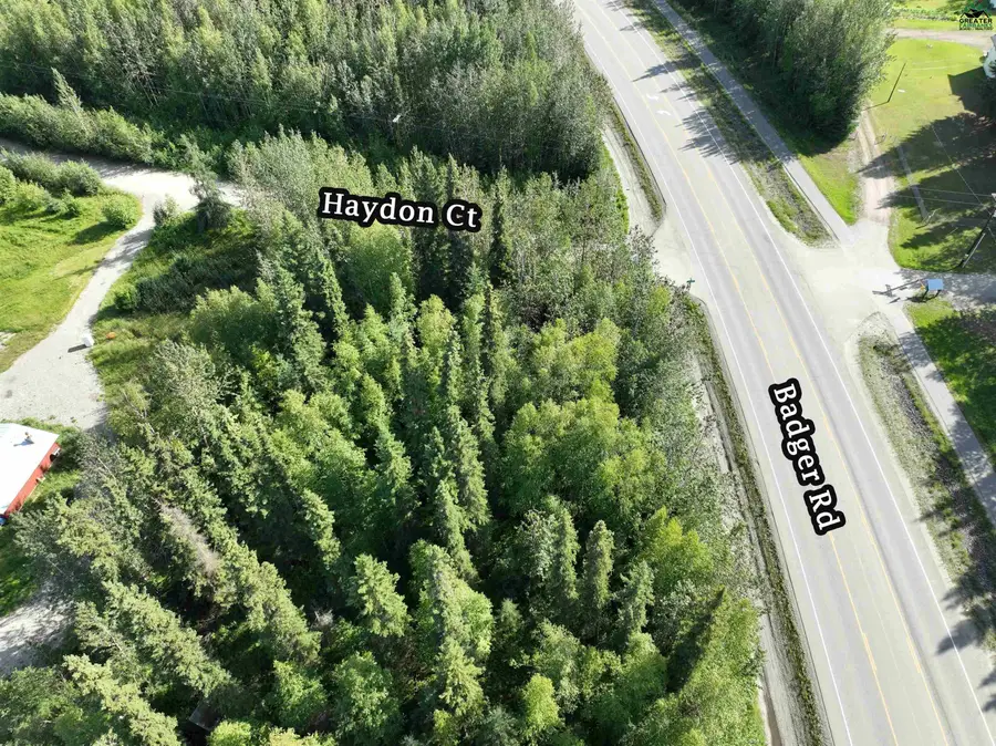 2020 HAYDON COURT, North Pole, AK 99705 - #3