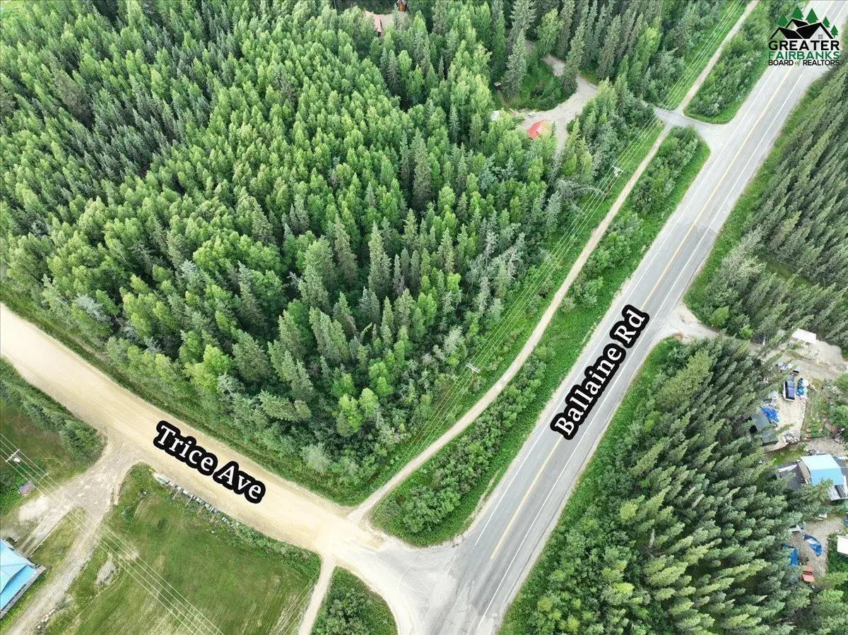 NHN TRICE AVENUE, Fairbanks, AK 99709 - #1