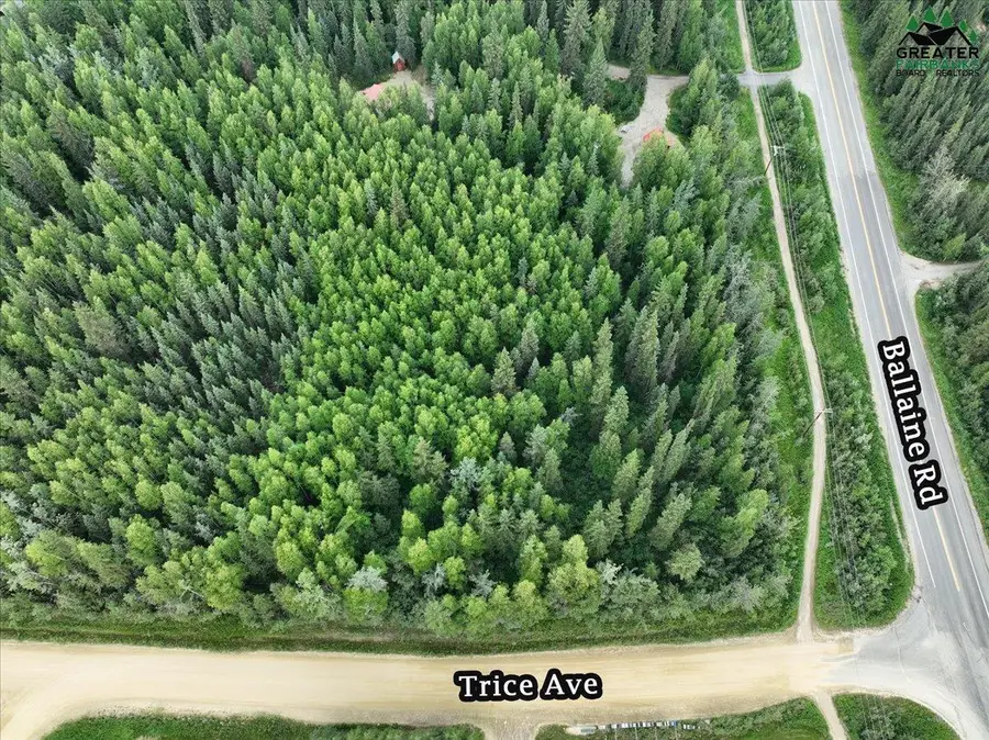 NHN TRICE AVENUE, Fairbanks, AK 99709 - #3