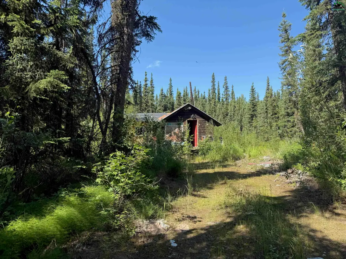901 SKI BOOT HILL ROAD, Fairbanks, AK 99709 - #1