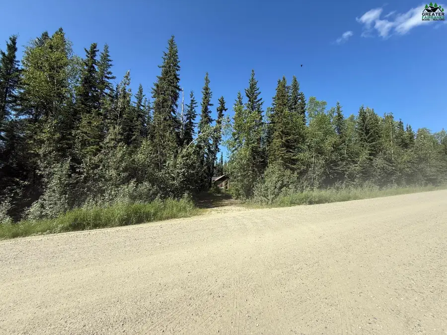 901 SKI BOOT HILL ROAD, Fairbanks, AK 99709 - #2