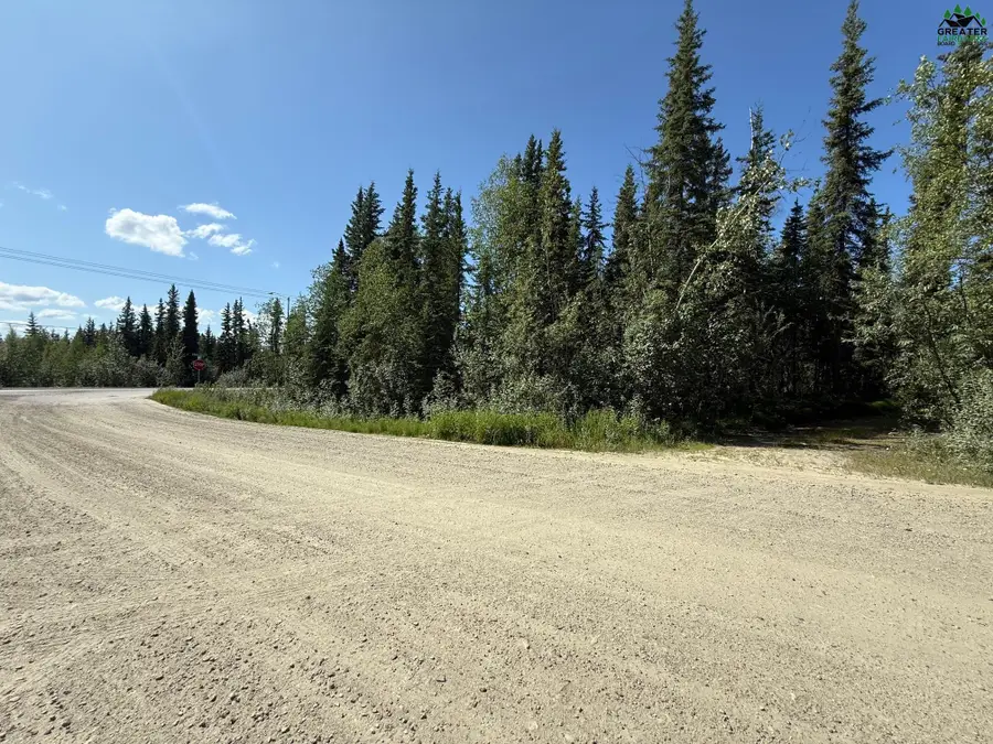 901 SKI BOOT HILL ROAD, Fairbanks, AK 99709 - #3
