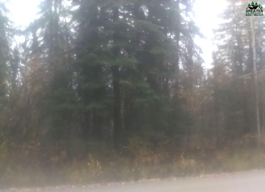 TL217 OLD VALDEZ TRAIL, Salcha, AK 99714 - #2