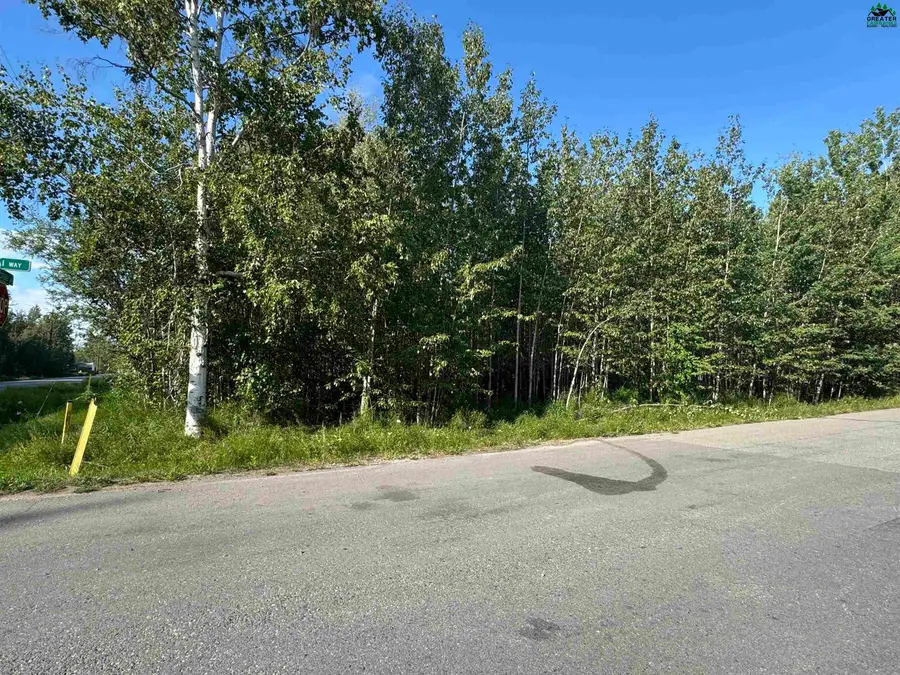 NHN HOMESTEAD DRIVE, North Pole, AK 99705 - #3