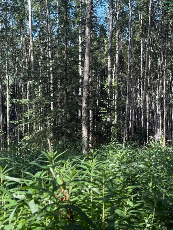 1339 WESTWICK DRIVE, Fairbanks, AK 99712