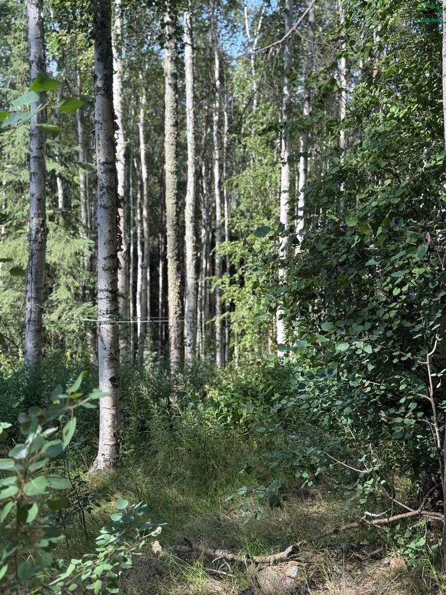 1339 WESTWICK DRIVE, Fairbanks, AK 99712 - #3