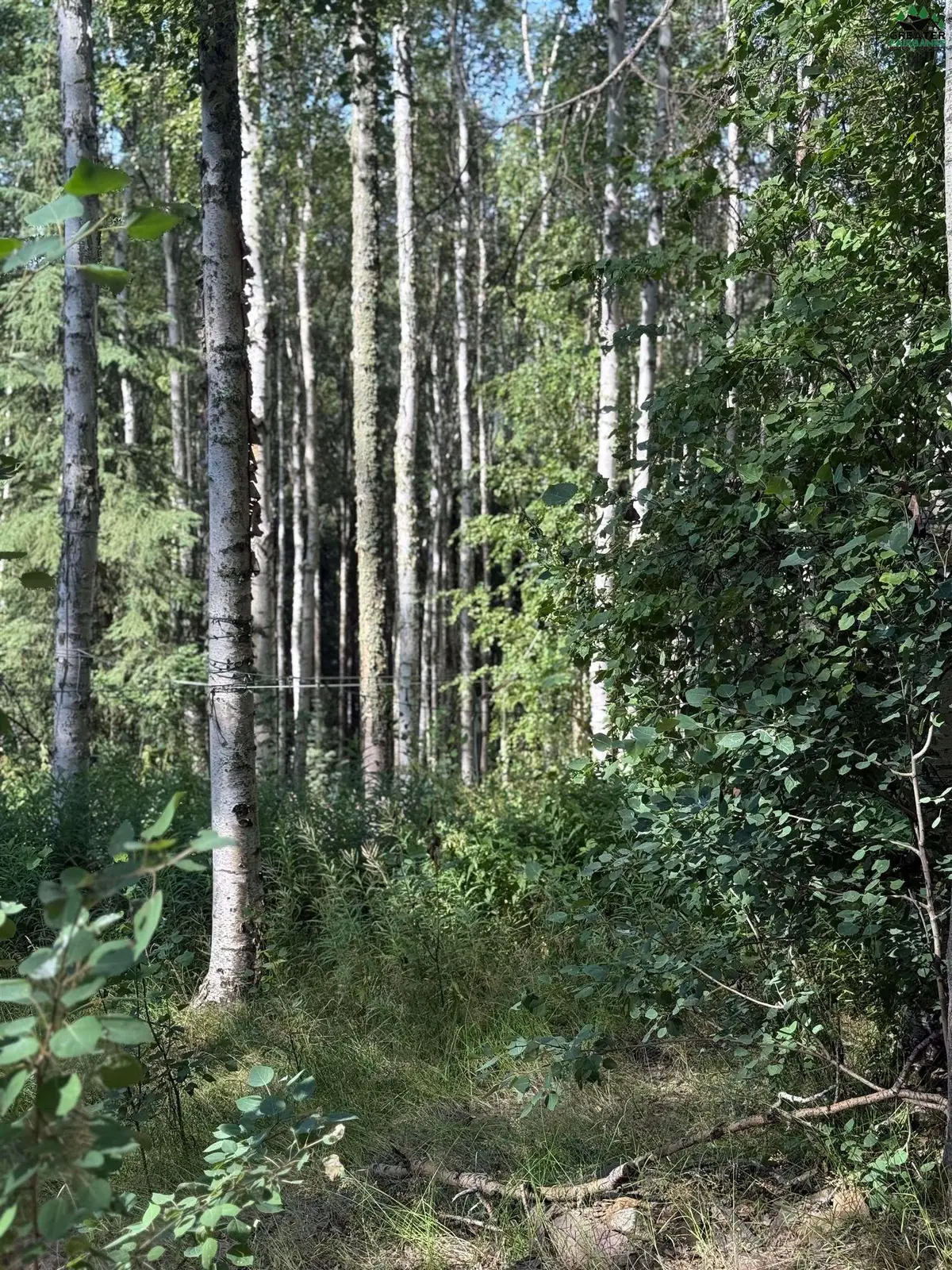 NHN WESTWICK DRIVE, Fairbanks, AK 99712 - #1