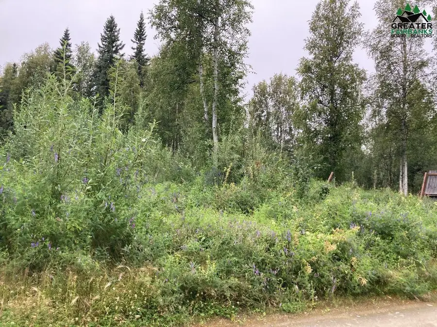 NHN SOURDOUGH STREET, Fairbanks, AK 99712 - #2