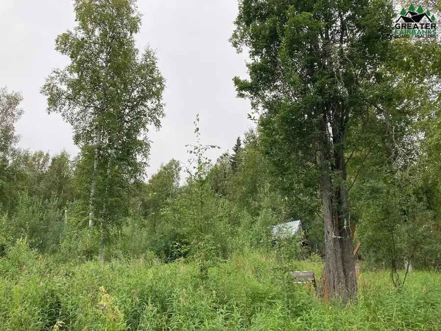 NHN SOURDOUGH STREET, Fairbanks, AK 99712 - #3