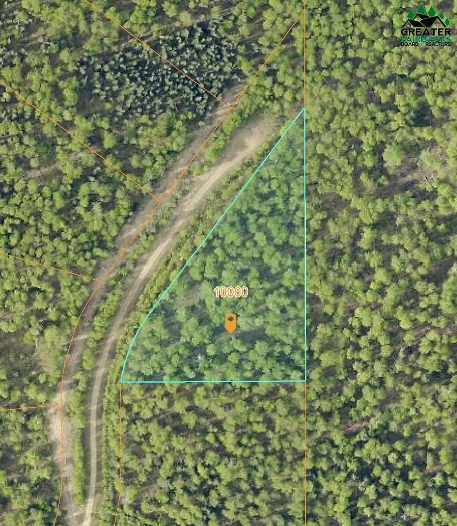 10060 WHITE BIRCH ROAD, Salcha, AK 99714 - #2