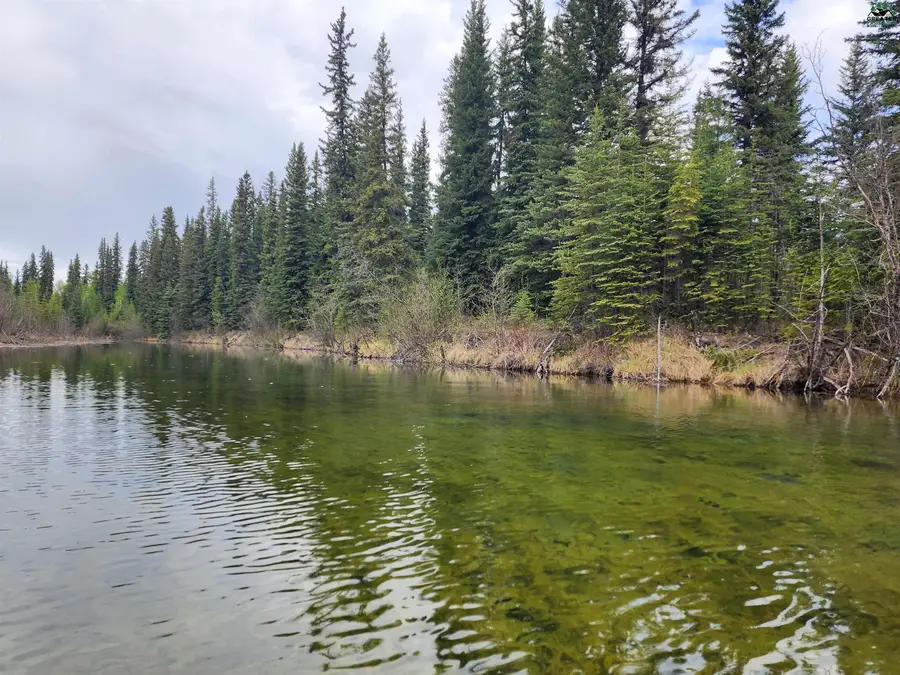TL-210 STRIPES ROAD, Salcha, AK 99714 - #2