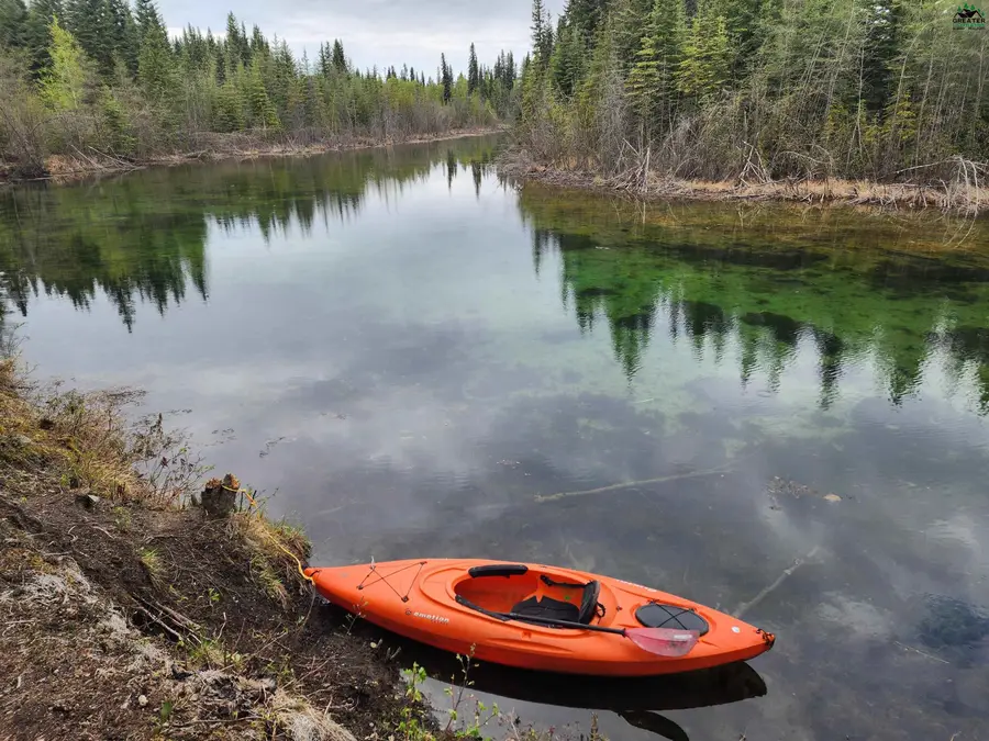 TL-210 STRIPES ROAD, Salcha, AK 99714 - #3