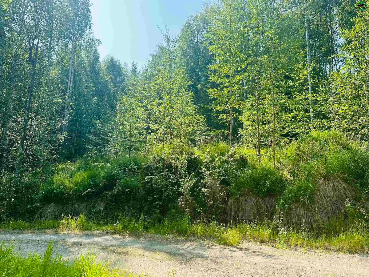 NHN CHAD STREET, Fairbanks, AK 99712 - #1