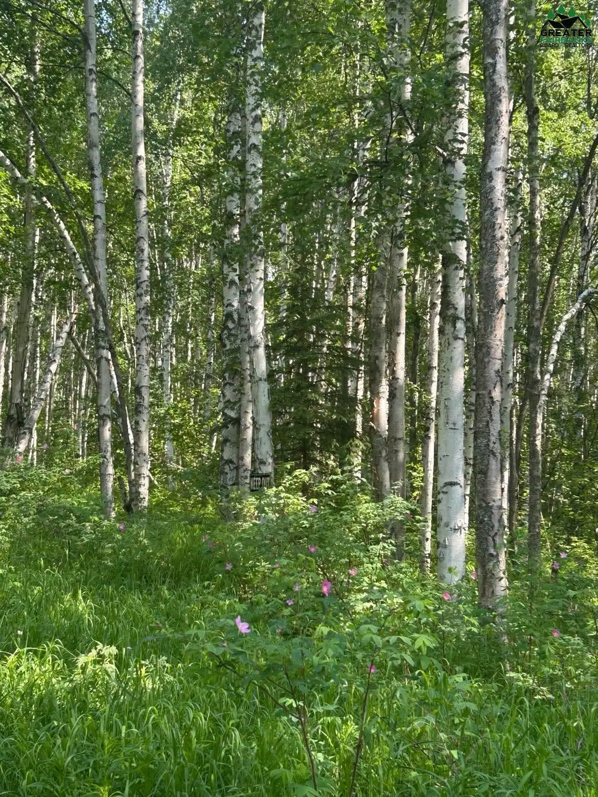 NHN ELLIOTT HIGHWAY, Fairbanks, AK 99712 - #1