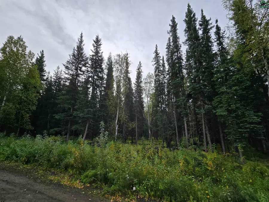 NHN HEARTLAND AVENUE, North Pole, AK 99705 - #3