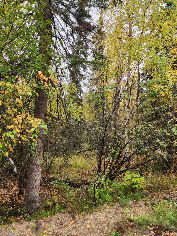 NHN HAYSTACK DRIVE #Lot 6, Fairbanks, AK 99712