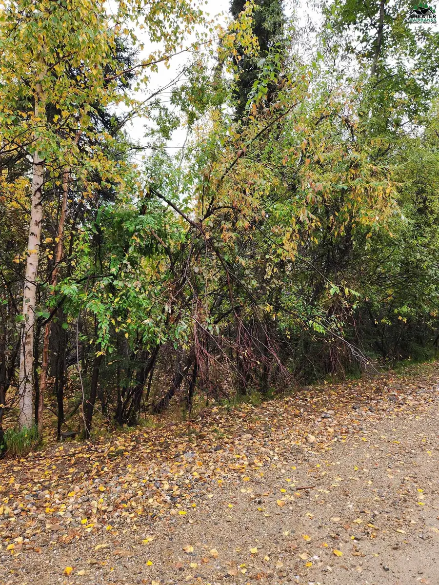 NHN HAYSTACK DRIVE #Lot 6, Fairbanks, AK 99712 - #3