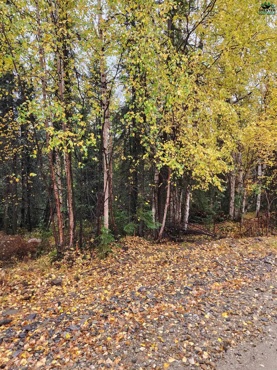 NHN HAYSTACK DRIVE #Lot 7, Fairbanks, AK 99712 - Image #3