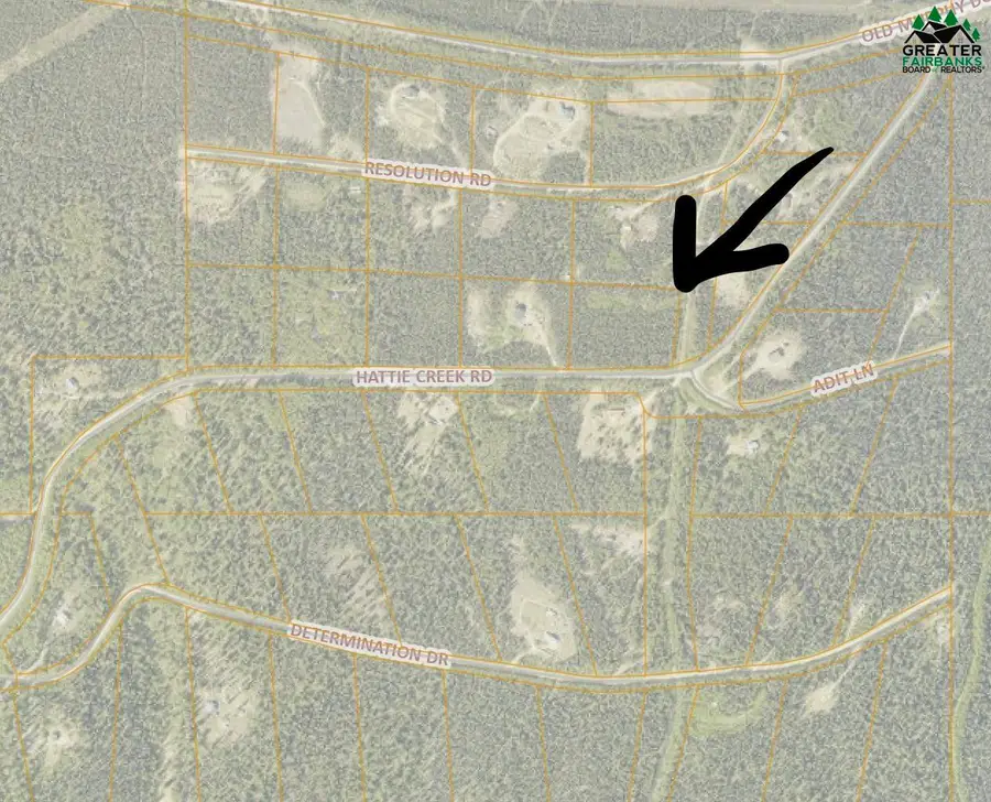 NHN HATTIE CREEK ROAD, Fairbanks, AK 99712 - #2