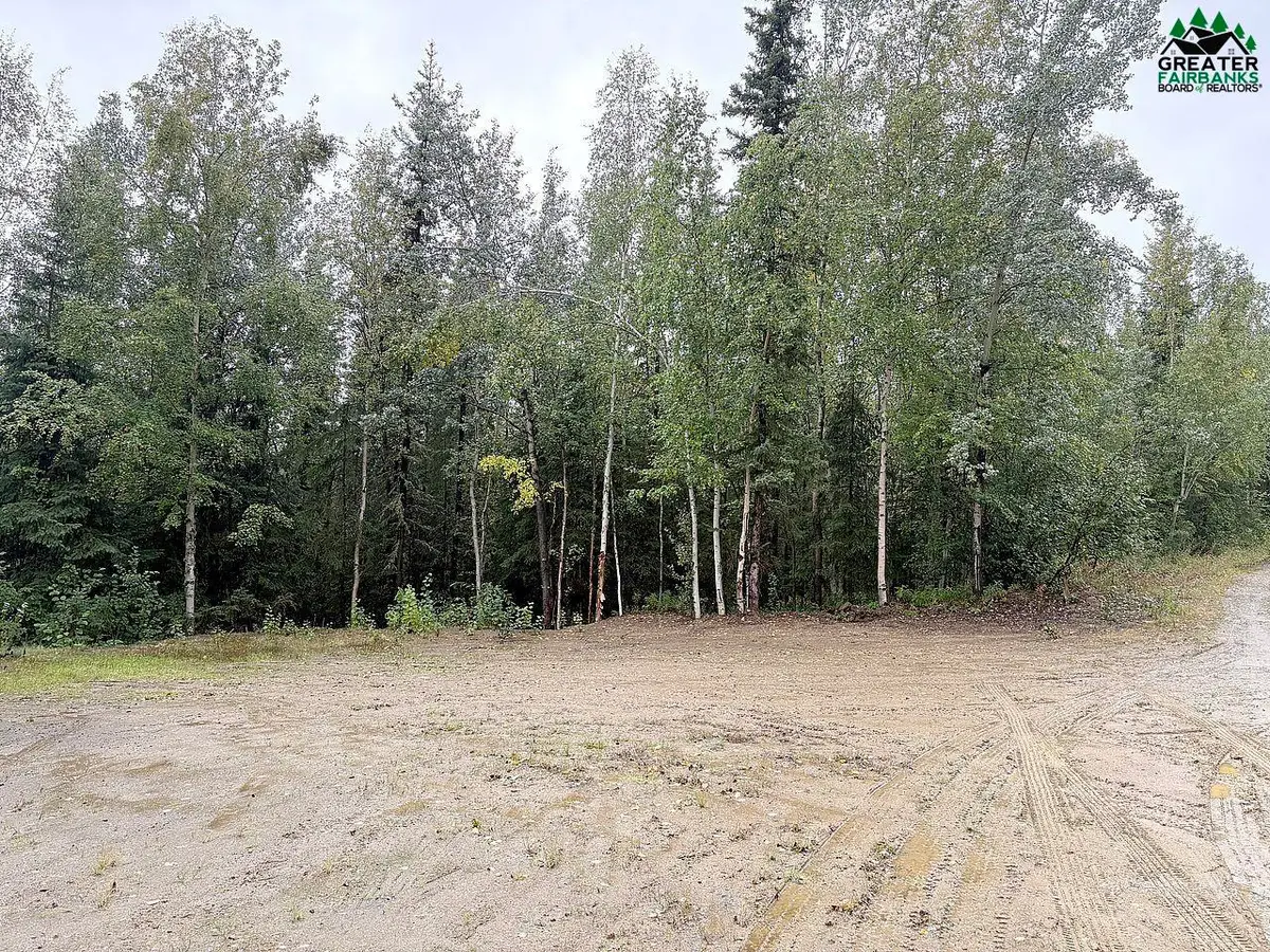 NHN OBSIDIAN COURT, Fairbanks, AK 99709 - #1