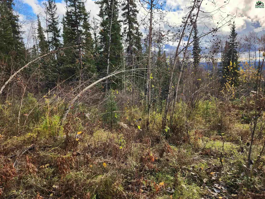 NHN ELLESMERE DRIVE, Fairbanks, AK 99709 - #2