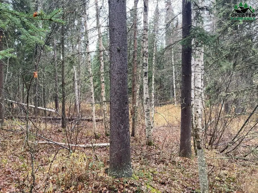 NHN HARMONICA DRIVE, Fairbanks, AK 99709 - #3