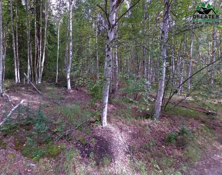 NHN RECONSTRUCTION ROAD, Fairbanks, AK 99709 - #2