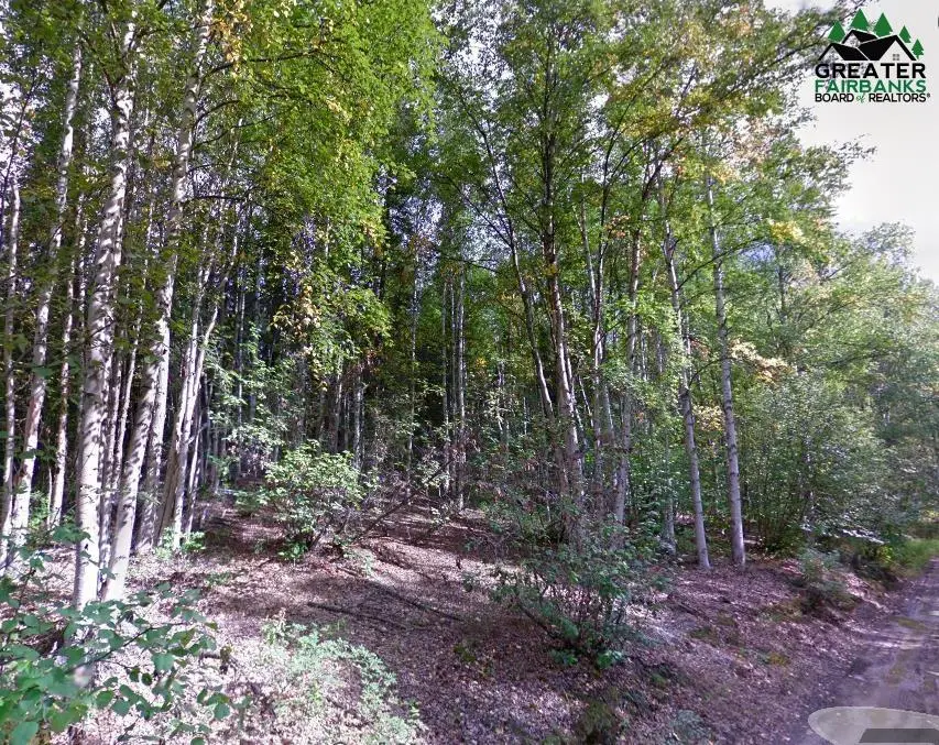 NHN RECONSTRUCTION ROAD, Fairbanks, AK 99709 - #3