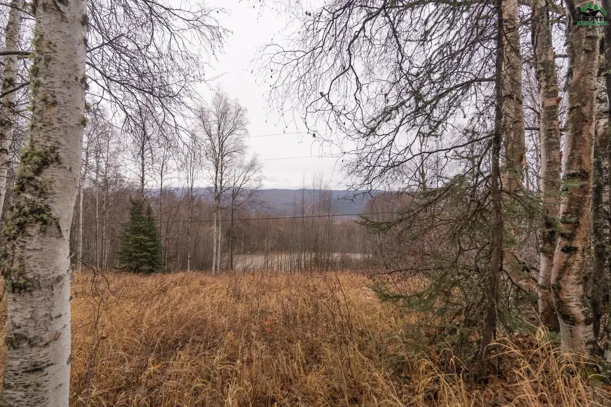 840 LEUTHOLD DRIVE, Fairbanks, AK 99712 - #1