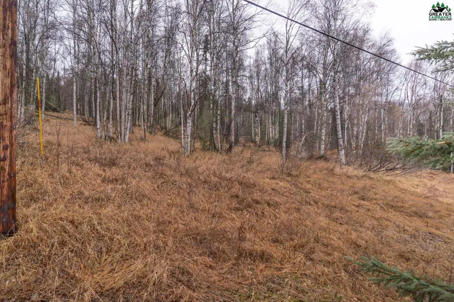 840 LEUTHOLD DRIVE, Fairbanks, AK 99712 - #2