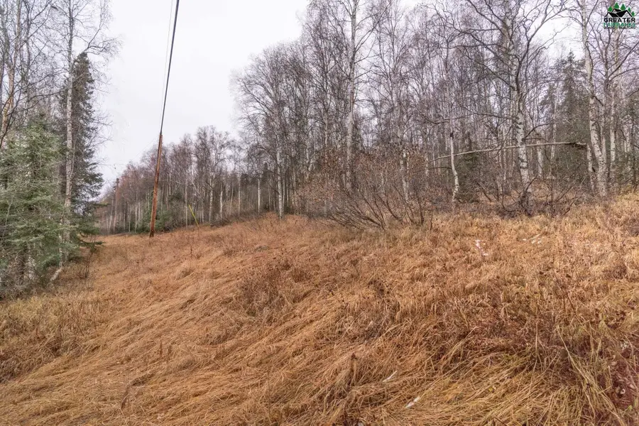 840 LEUTHOLD DRIVE, Fairbanks, AK 99712 - #3